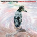 Pure Reason Revolution - Coming Up to Consciousness (Inside Out, 2024)