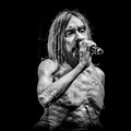 Iggy Pop @ Gyárkert, 2023 július 30.