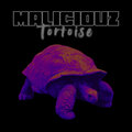 RockNuggets Vol.254 / MALICIOUZ - Tortoise (2025)