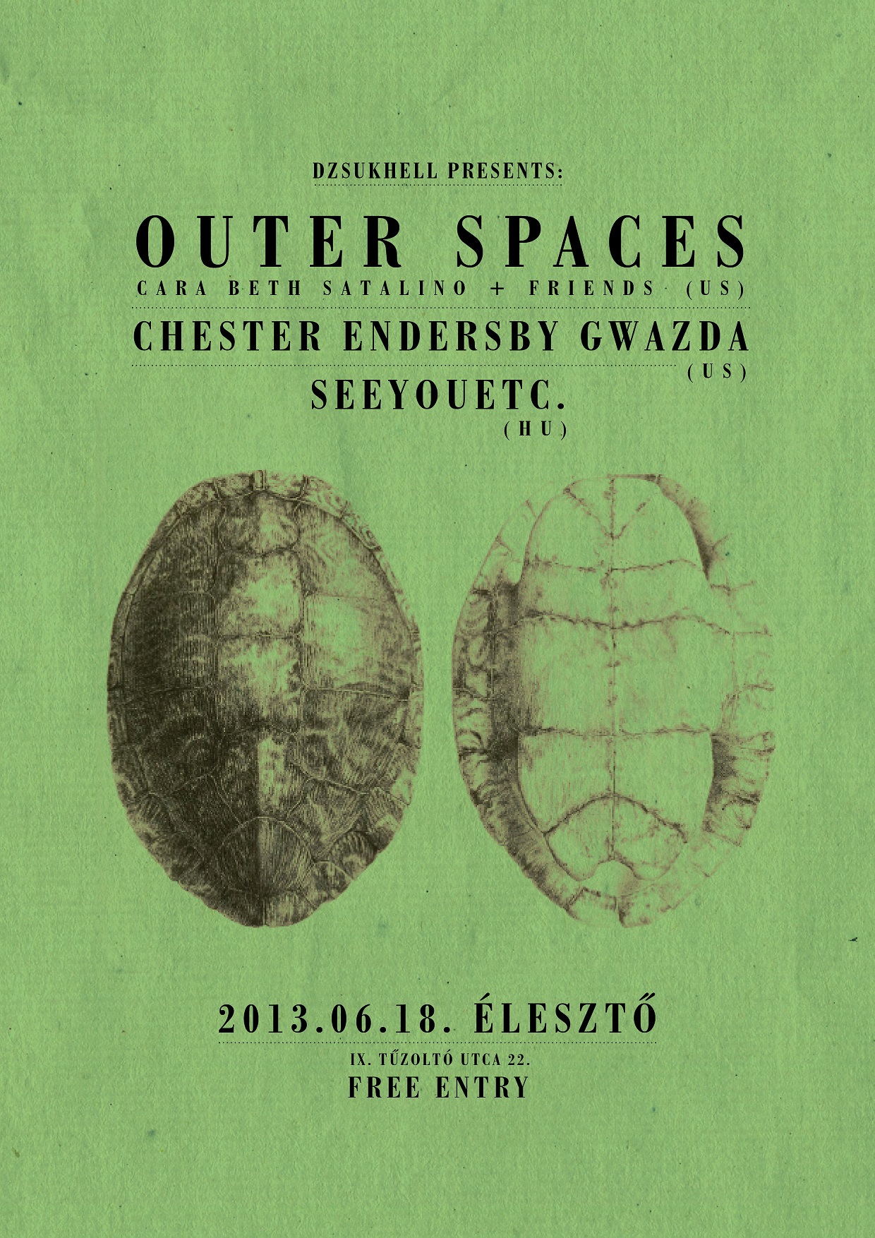 Outer Spaces + Chester Endersby Gwazda + Seeyouetc @ Eleszto 2013.06.18.jpg