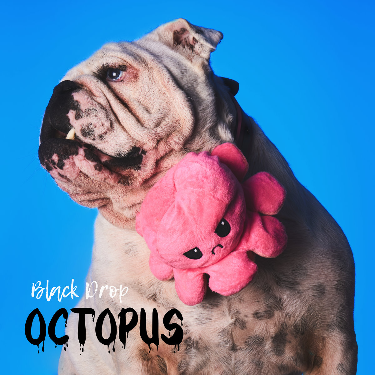 RockNuggets Vol65. / Black Drop – Octopus (2023)