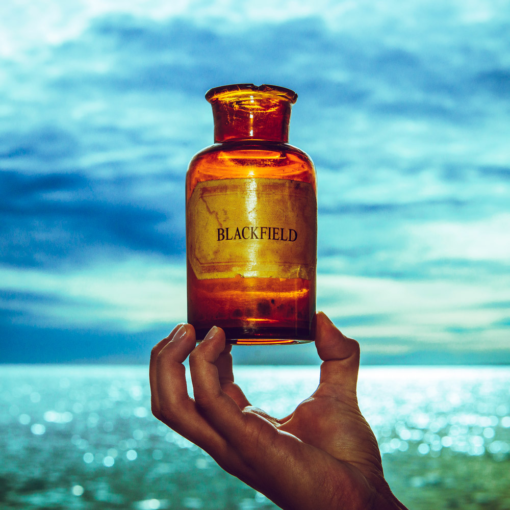 Blackfield - Blackfield V (Január 20.)<br /><br />Ha Steven Wilson nem épp a saját zenekarával turnézik, vagy éppen remaszterel klasszikus lemezeket, akkor a millió másik zenekarába ugrik fejest, hogy azokkal is elkápráztassa a rajongókat. A nem meglepő módon a sorban az ötödik Blackfield lemezről már hallhattunk némi előzetest, amiből csak annyit szűrtünk le, hogy jöhetne már a teljes anyag.