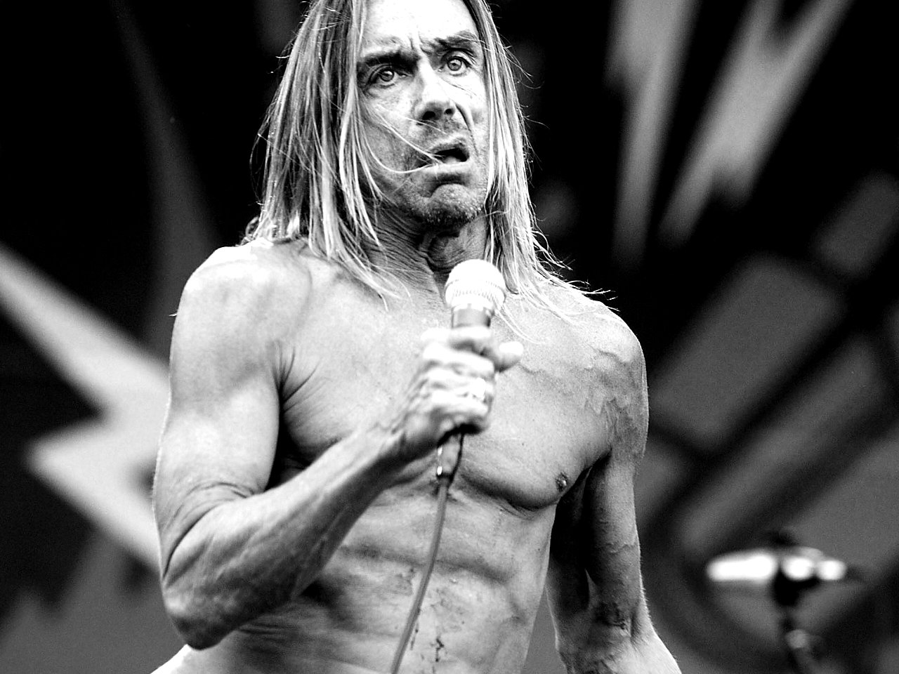 iggy-pop.jpg