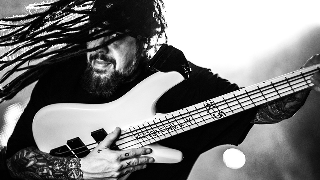 fieldy_2.jpg