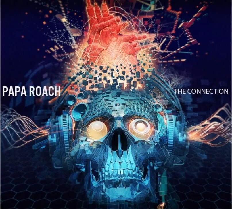 Paap_Roach_The_Connection_Album_Cover.jpg