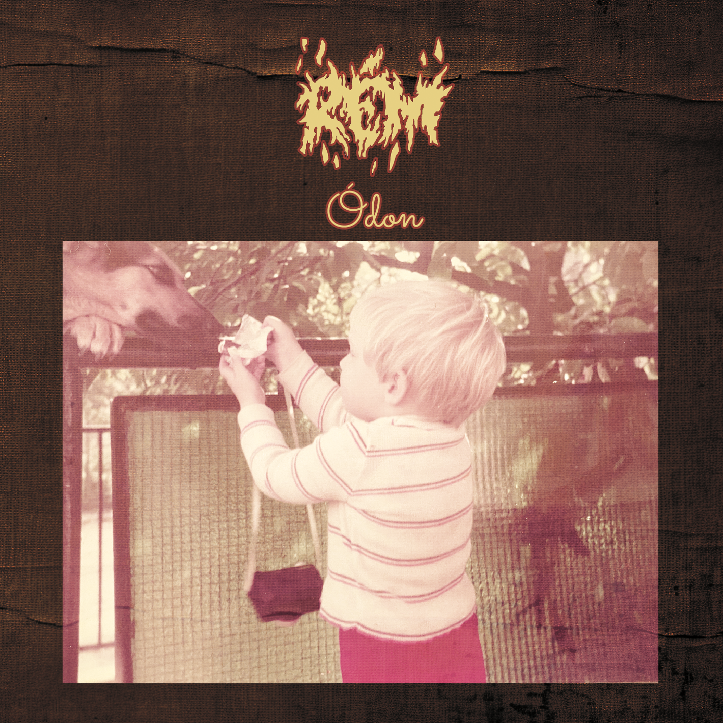 rem_odon-cover.png