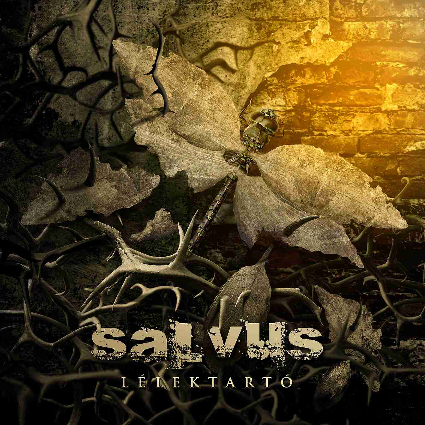 salvus_front_logoval.jpg