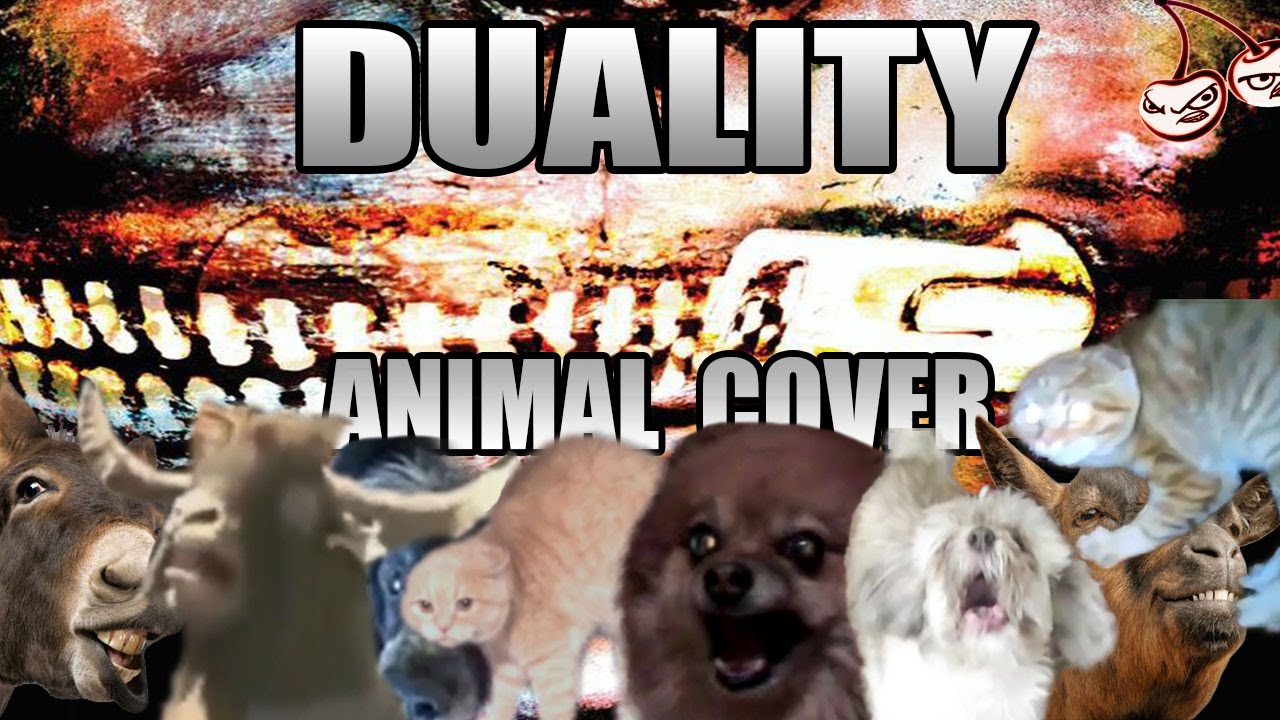 dualityanimal.jpg