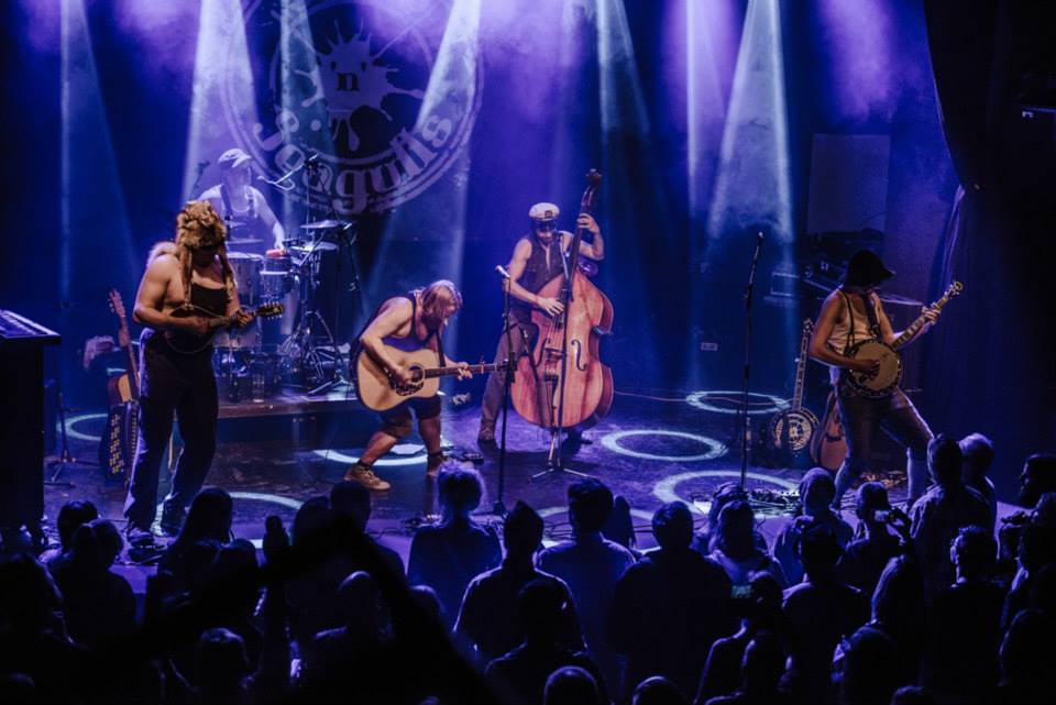 steve_n_seagulls_2015_live_2.jpg