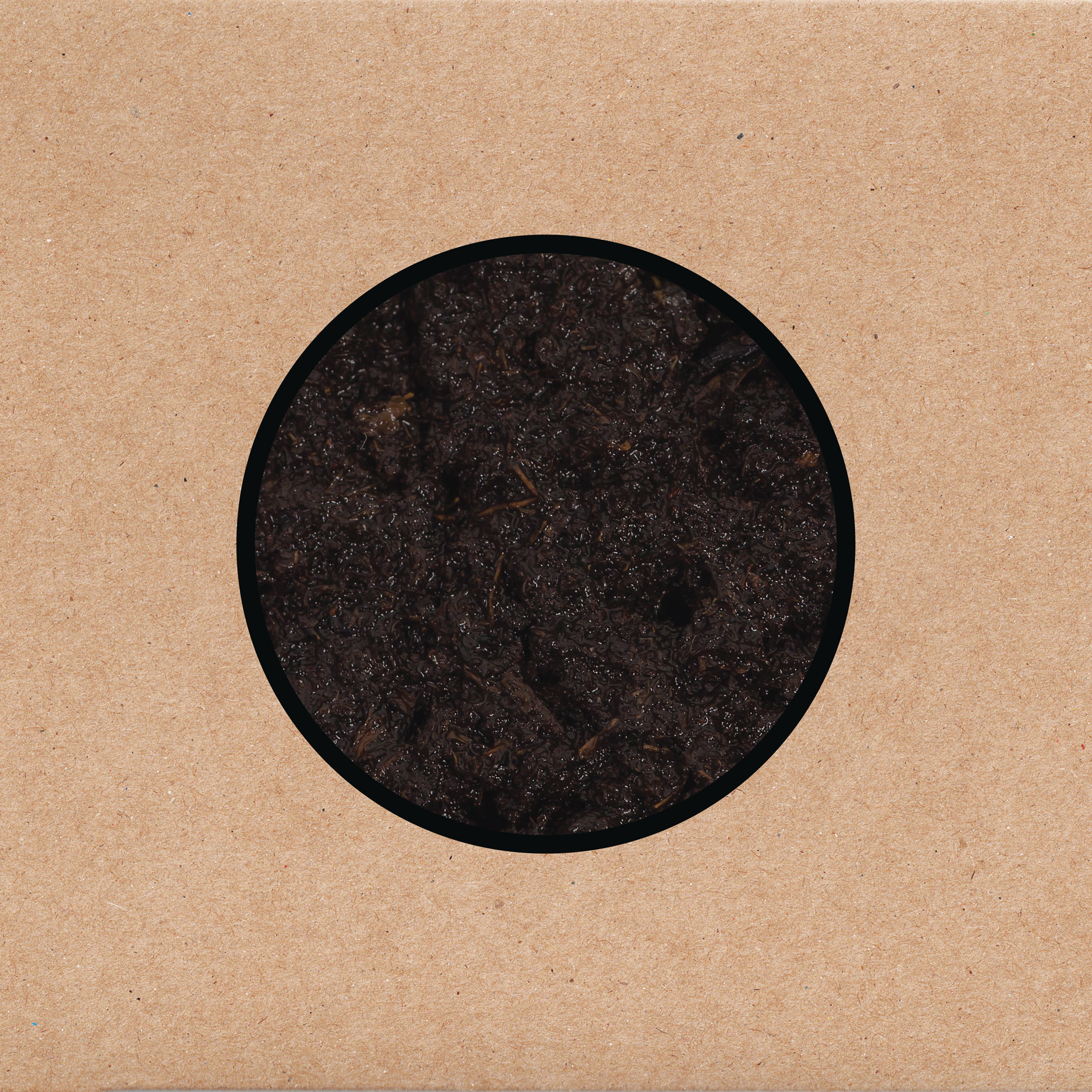 SWANS – Birthing (Mute / Young God, 2025)
