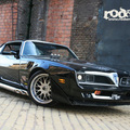 Pontiac Trans Am 1981