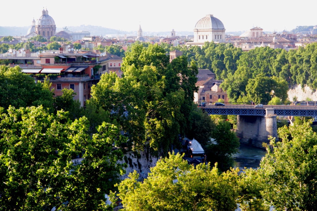 vista dall'aventino.JPG