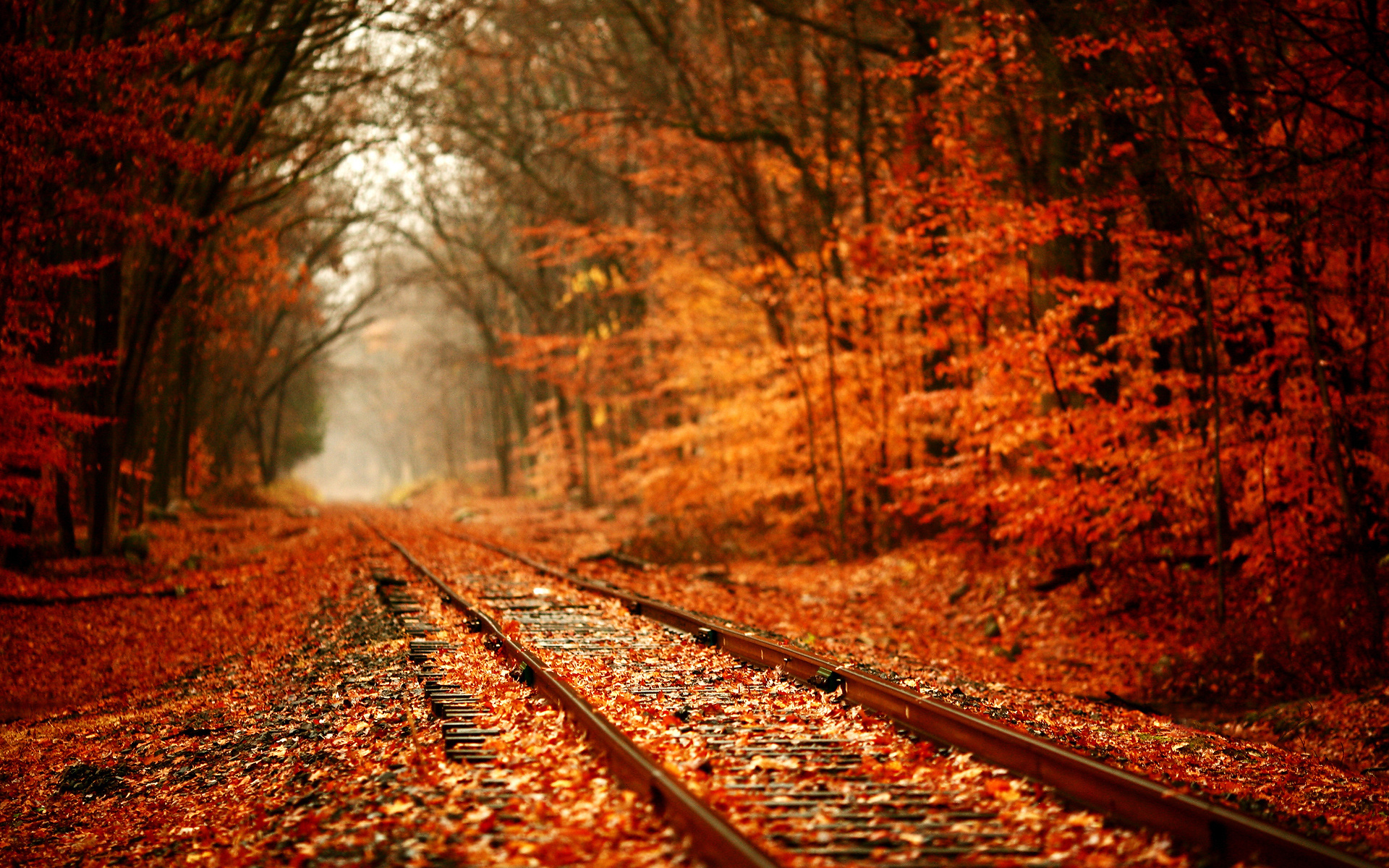 railway-autumn.jpg