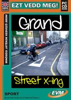 freddyD: Grand Street X-ing / Scooter Pro