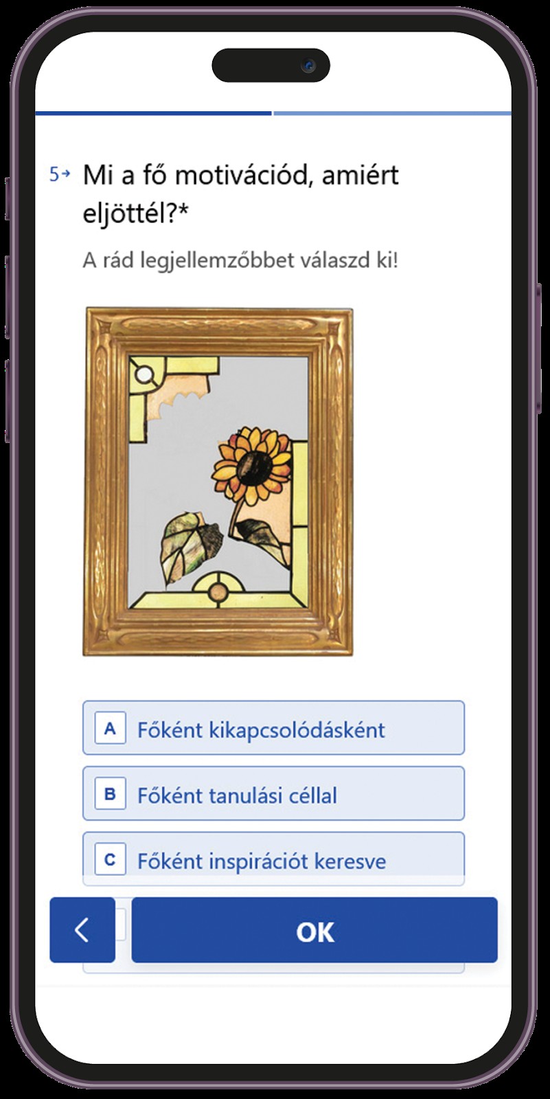 KÖZÖS ÖRÖKSÉG: LÁTOGATÓKUTATÁSI PROJEKT A HELYI LAKOSOK MEGSZÓLÍTÁSÁRA
