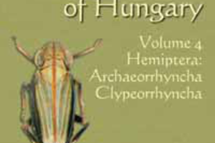 Györffy György, Kiss Balázs, Koczor Sándor, Orosz András: Checklist of the Fauna of Hungary. Volume 4, Hemiptera: Archaeorrhyncha, Clypeorrhyncha