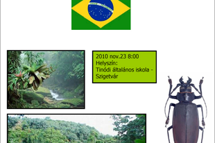 A Brazíl esőerdők világa
