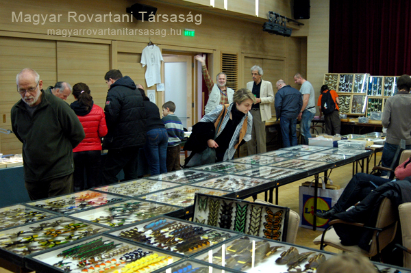 Rovarbörze_2013_marcius 233_jav_web.jpg