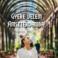 Rozán Eszter: Gyere velem Amszterdamba!