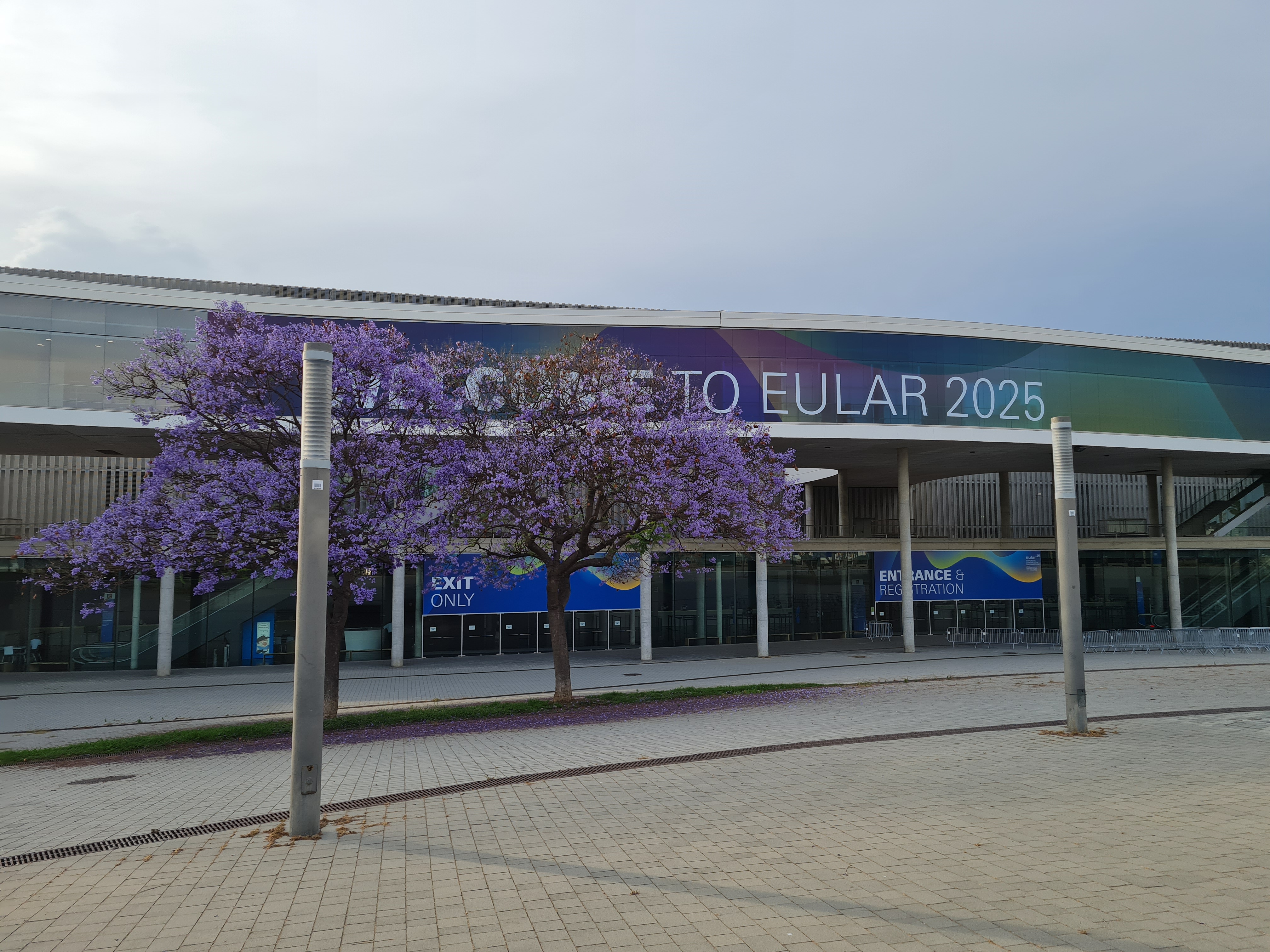 eular.jpg