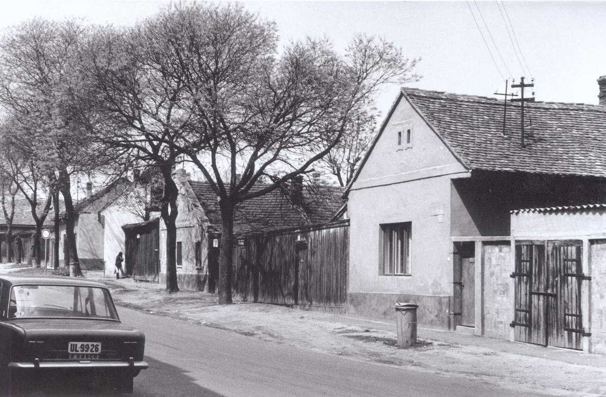 kep4.jpg