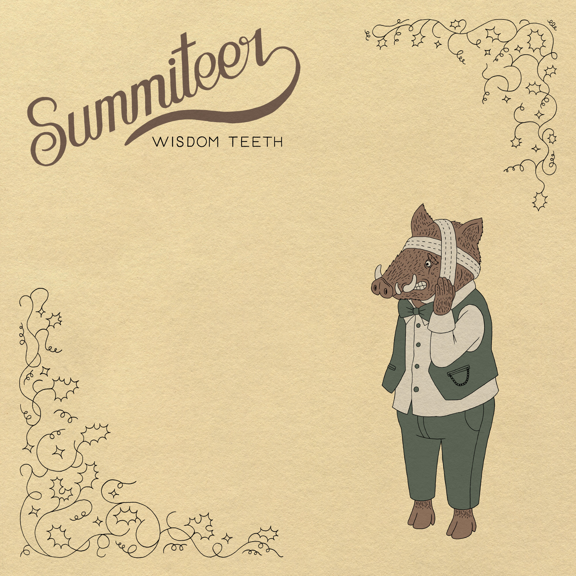 summiteer-wisdomteeth_cover_front.jpg