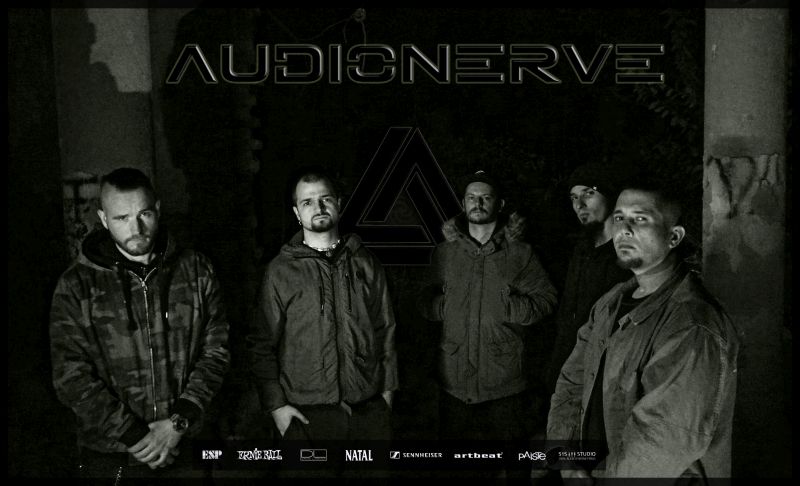 audionerve_band_2017.jpg