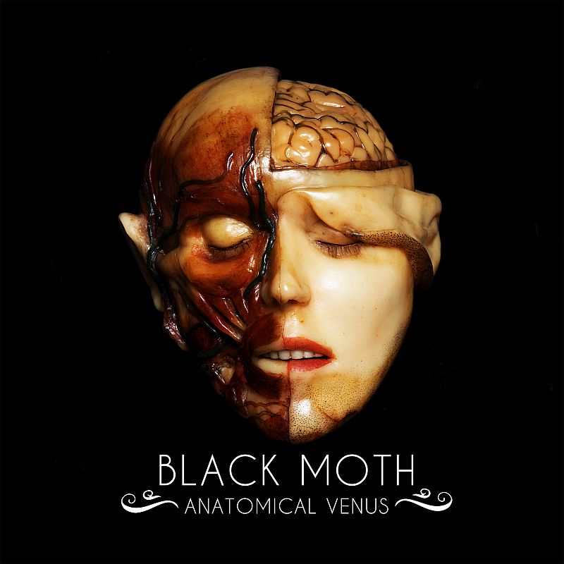 black_moth_cover.jpg