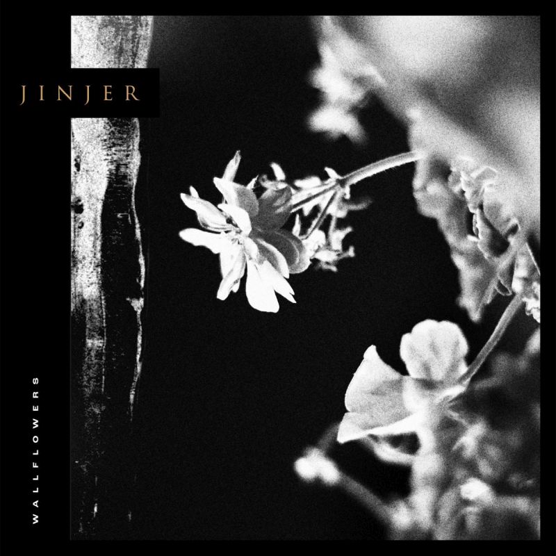 jinjer_cover.JPG