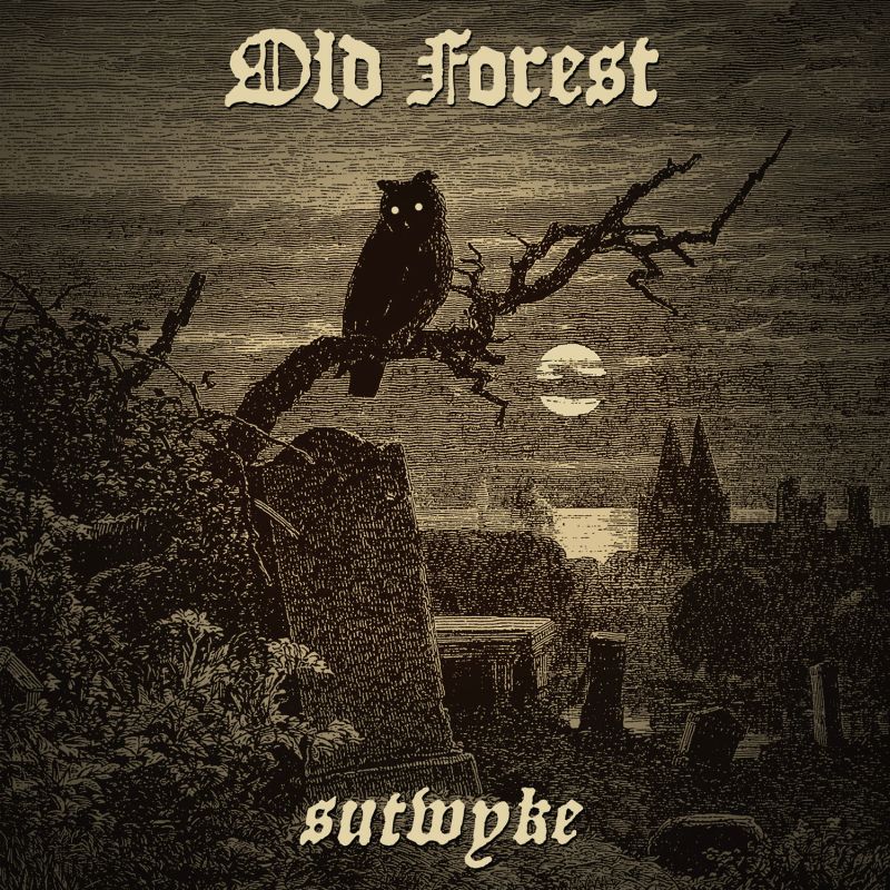 old_forest_2.jpg