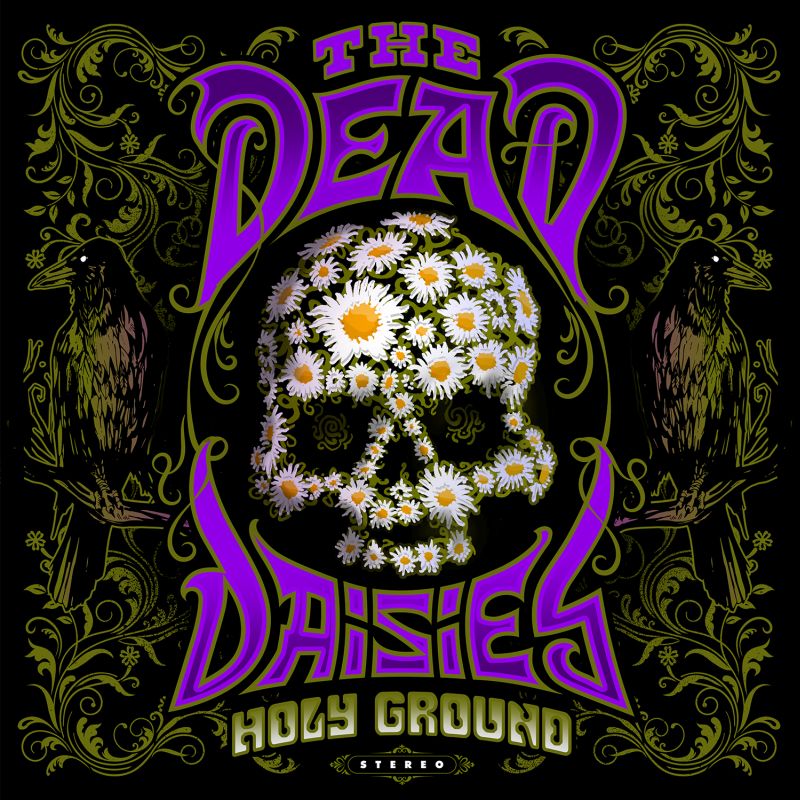 the_dead_daisises.jpg