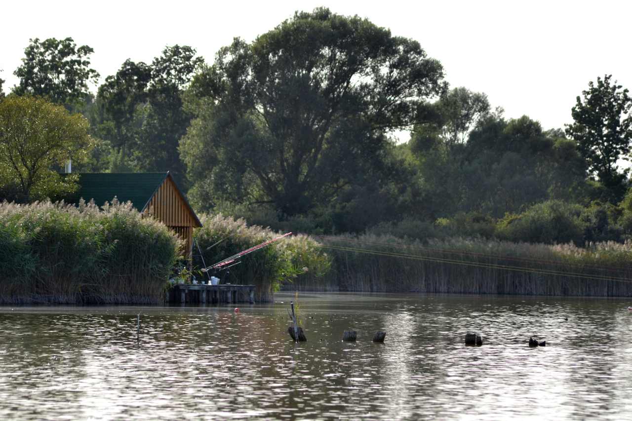 dsc_0006.jpg