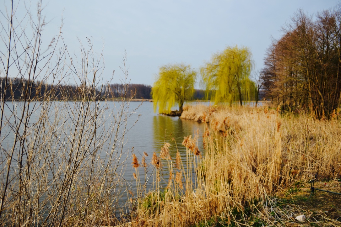 thumb_dsc_0167_1024.jpg