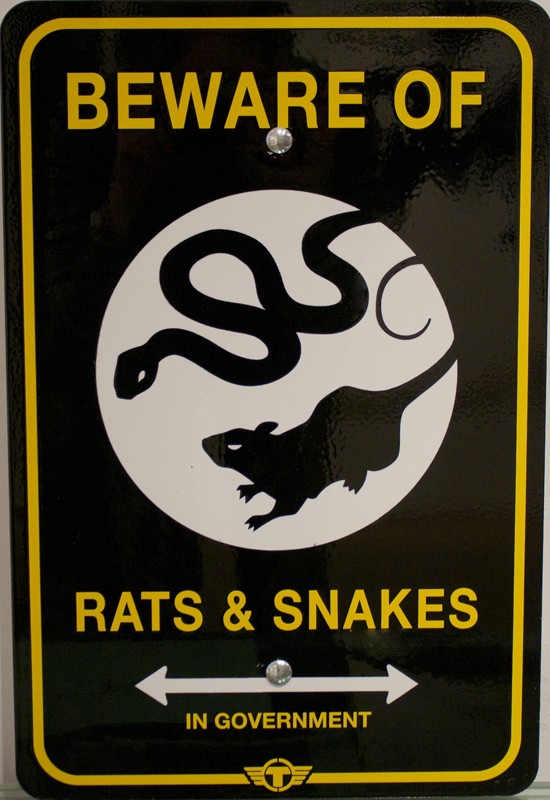 beware_of_rats_and_snakes_trustocorp.jpg