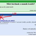 Miért ne?