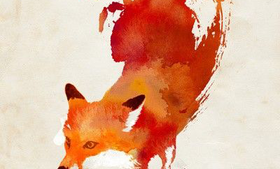 Watercolour fox