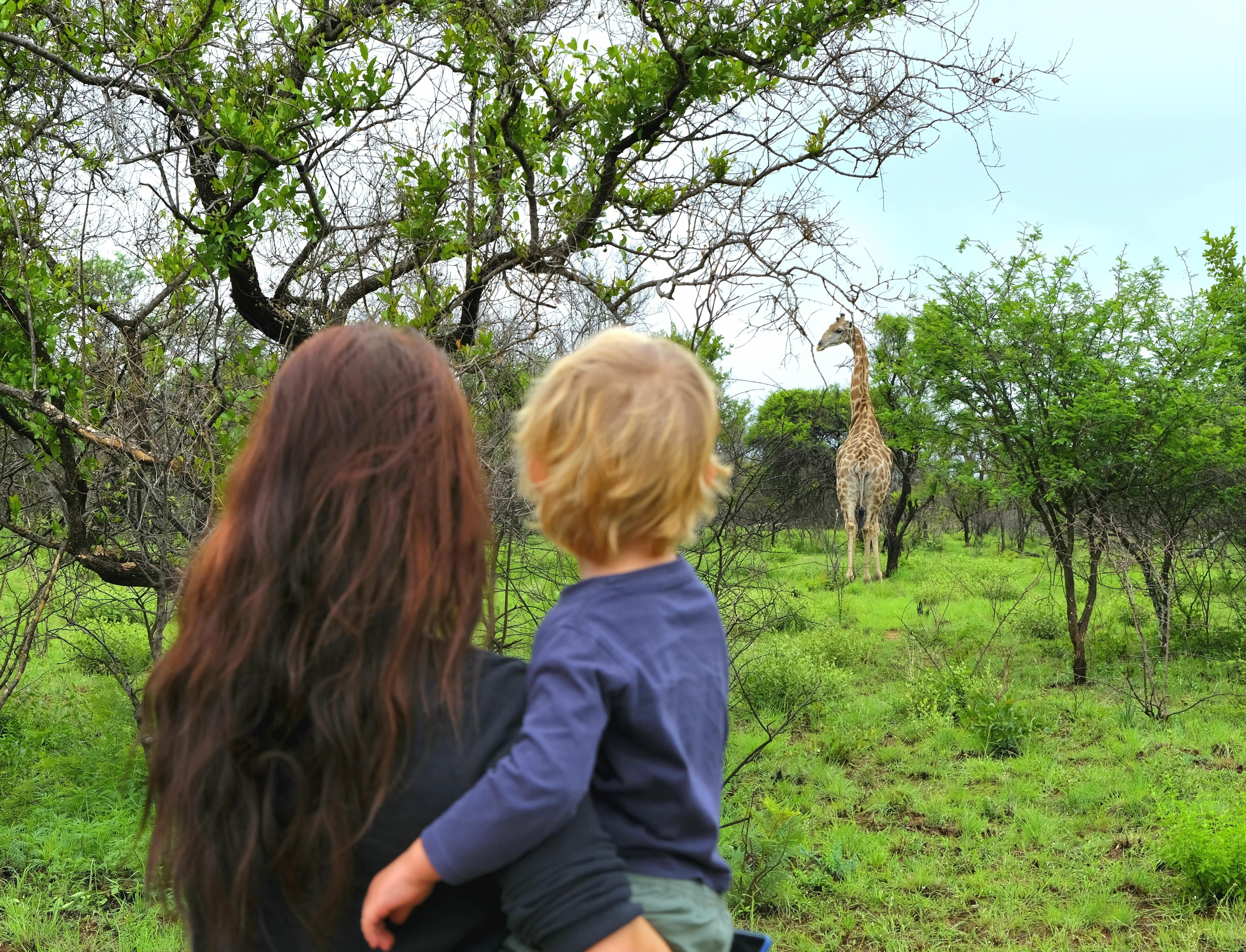 Hello, Simba: tetősátras kalandozások kisgyerekkel Dél-Afrikában
