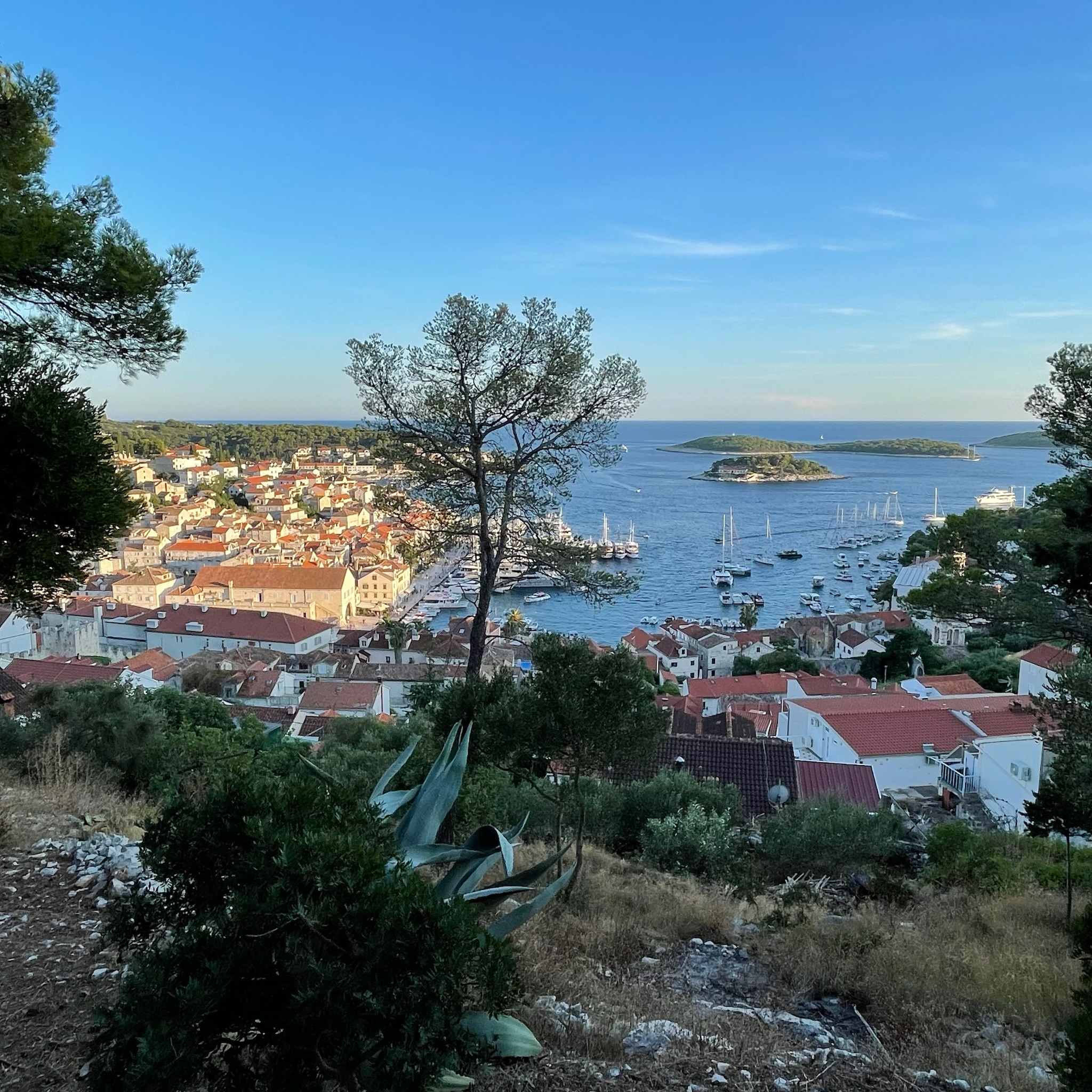 Hvar