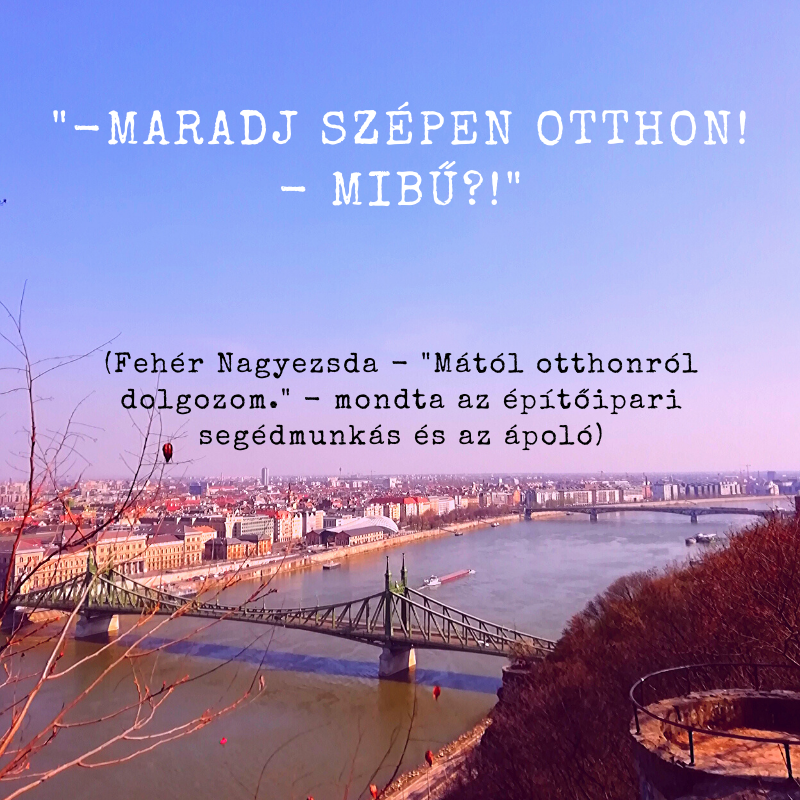 feher_nagyezsda_2003202.png