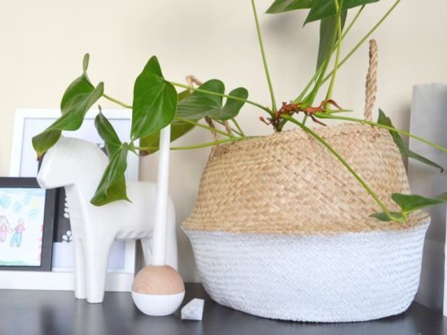 Mit lehet büntetlenül lefújni?