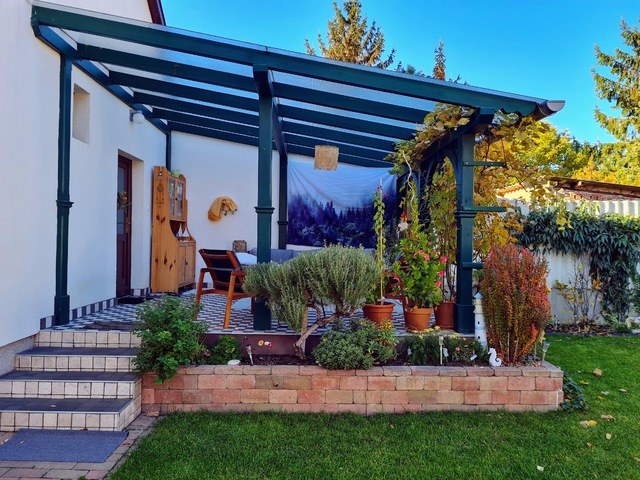 Novemberi hangulatok a kertben