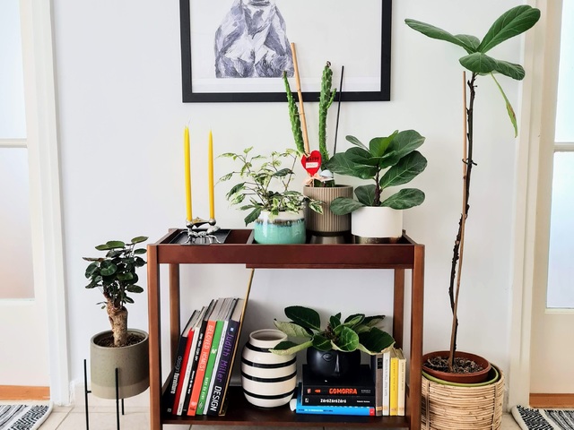 Virágtartó helyett legyen inkább lerakóasztal