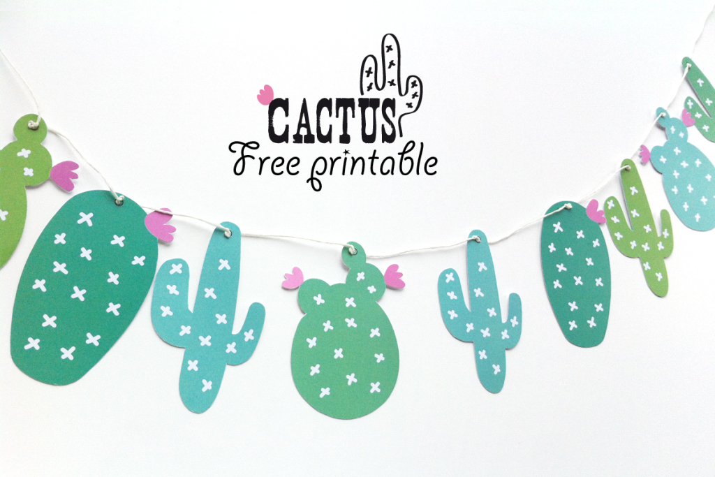 image-couv-cactus.jpg