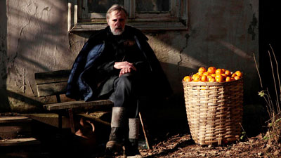 mandariinid_tangerines_still.jpg