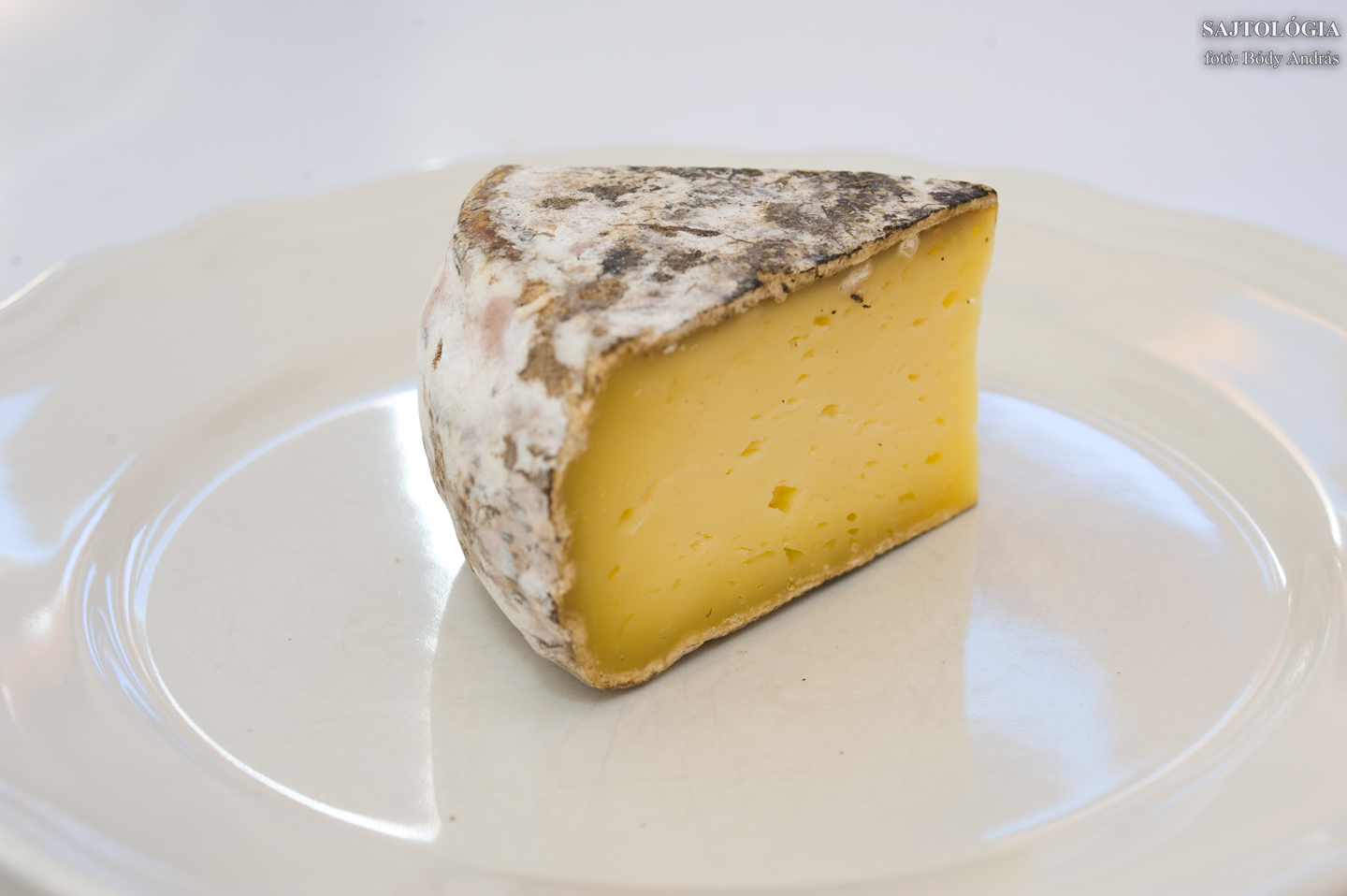 Tomme de Savoie AOC. Ehhez a termékhez kapcsolódik az év baklövése a Sajtológián: korábbi bejegyzésemben említettem egy piacon vett ‘francia hegyi sajtot‘, melyet keménysége miatt téli Beaufortnak véltem. A sítúrán szembesültem vele, hogy az a példány jobban hasonlított a Tomme-ra. Mentségemre szóljon, még nem volt korábban alkalmam észlelni, hogy ennyire keskeny (avagy alacsony magasságú henger) gurigákban Beaufort nem készülhet, valamint a piaci ‘hegyi sajt‘ nem lágyult meg annyira szobahőmérsékleten, mint egy Tomme-nak kéne.