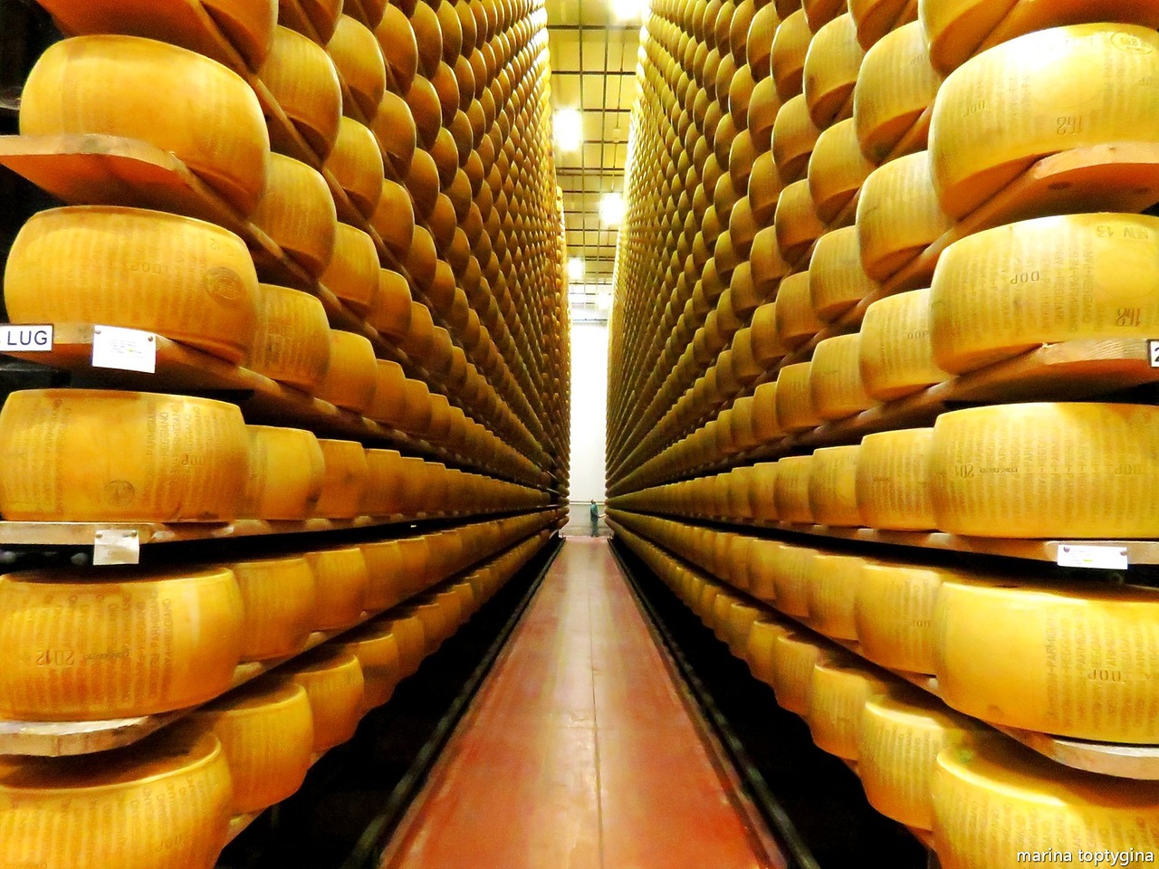 parmigiano.jpg