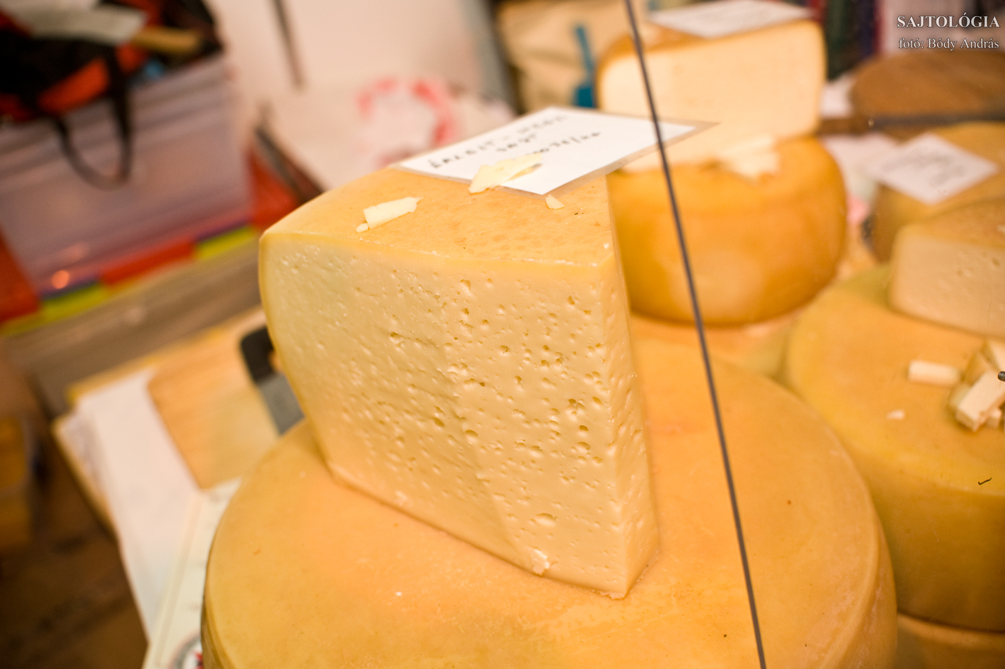 Hegyi sajt (termelő: Kedves Tamás)