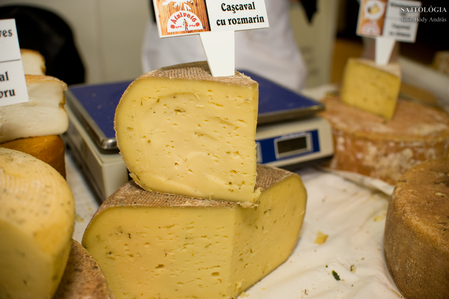 ‘Átalvető‘ rozmaringos sajt