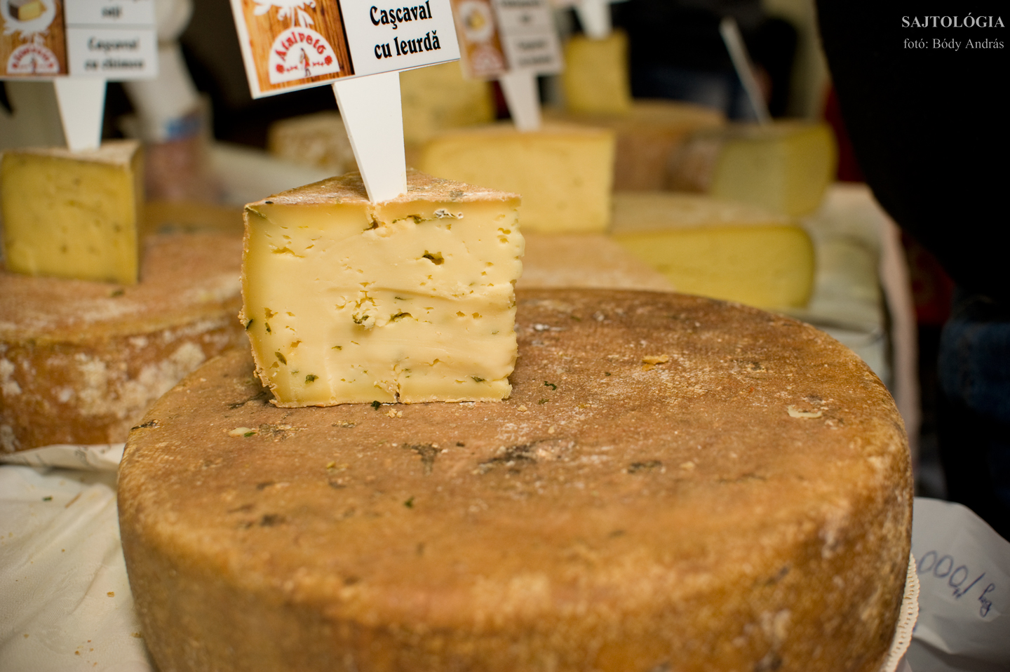 ‘Átalvető‘ medvehagymás sajt
