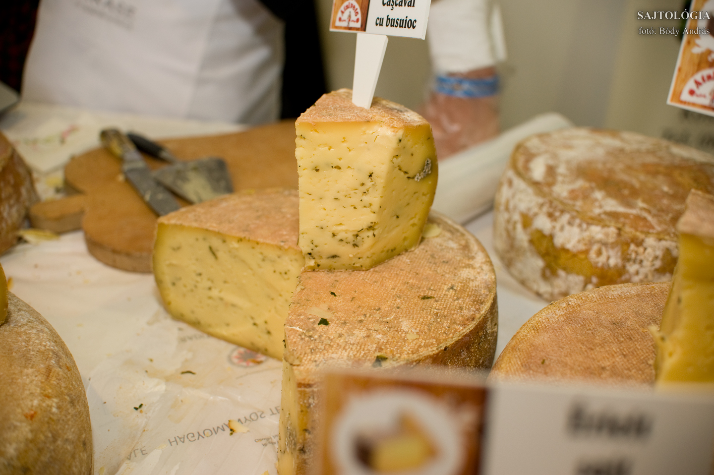 ‘Átalvető‘ bazsalikomos sajt